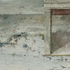 GEST, 2008 </br> 30×100 cm, tempera na papierze