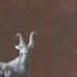 IDOLATRIA II, 2015 </br> 36&times;23 cm, tempera na papierze